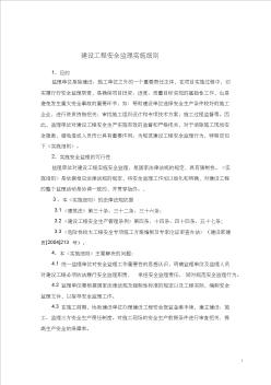 2010-1西昌安全監(jiān)理細(xì)則MicrosoftWord文檔
