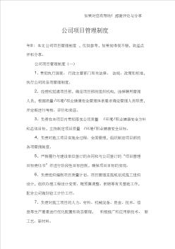 公司项目管理制度