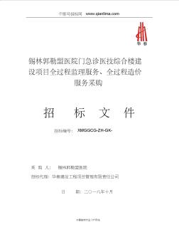 医院门急诊医技综合楼建设项目全过程监理服务、全过程造价服务招投标书范本