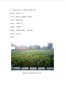 澄江县马料河人工湿地污水处理工程