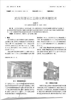 武汉阳逻长江公路大桥关键技术