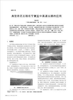 典型示范工程在宁夏盐中高速公路的应用