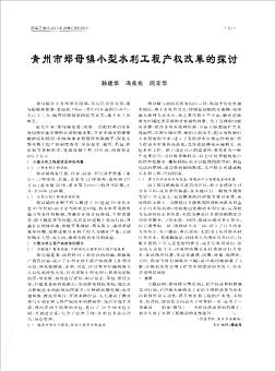 青州市郑母镇小型水利工程产权改革的探讨