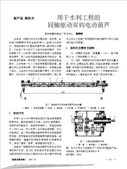 用于水利工程的同轴驱动双钩电动葫芦