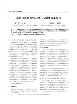 亳州市小型水利工程产权制度改革探析