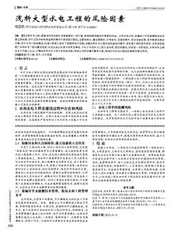 淺析大型水電工程的風險因素