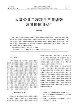 大型公共工程项目三重绩效及其协同评价