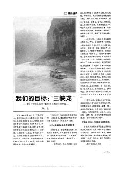 我们的目标:“三峡龙”——重庆三峡水利电力(集团)股份有限公司发展记