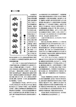 水利市場(chǎng)姊妹花——蒲城縣農(nóng)民申志成、鄧喜潮投巨資辦水利紀(jì)實(shí)