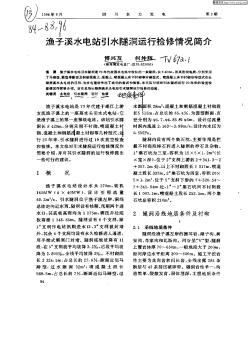 渔子溪水电站引水隧洞运行检修情况简介