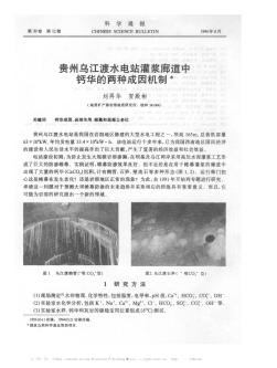 贵州乌江渡水电站灌浆廊道中钙华的两种成因机制