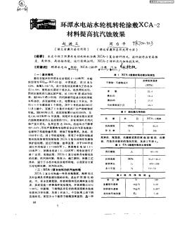 环潭水电站水轮机转轮涂敷XCA—2材料提高抗汽蚀效果