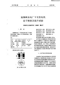 盐锅峡水电厂9号发电机定子铁损及温升试验