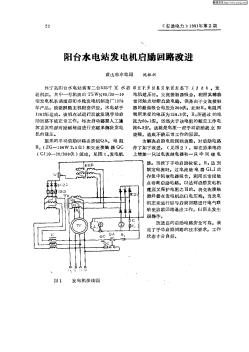 陽臺水電站發(fā)電機(jī)啟勵回路改進(jìn)