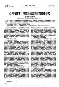 公司內(nèi)部審計(jì)風(fēng)險(xiǎn)的成因及防范措施研究
