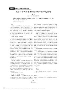 浅谈计算机技术在政府采购审计中的应用