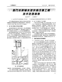 官厅水库输水泄洪洞改建工程技术处理措施