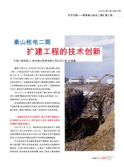 秦山核电二期扩建工程的技术创新