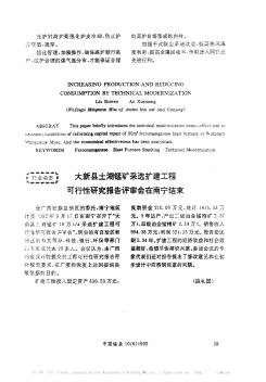 大新县土湖锰矿采选扩建工程可行性研究报告评审会在南宁结束
