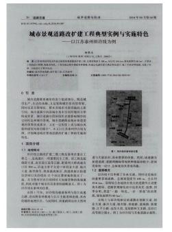 城市景观道路改扩建工程典型实例与实施特色——以江苏泰州田许线为例  