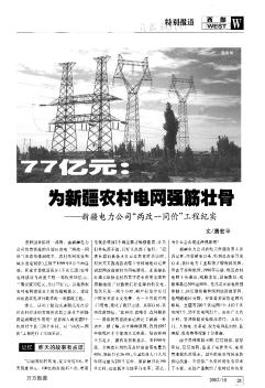 77亿元:为新疆农村电网强筋壮骨--新疆电力公司"两改一同价"工程纪实