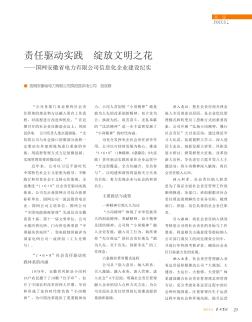 責任驅(qū)動實踐綻放文明之花——國網(wǎng)安徽省電力有限公司信息化企業(yè)建設(shè)紀實