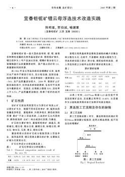 宜春鉭鈮礦鋰云母浮選技術(shù)改造實(shí)踐