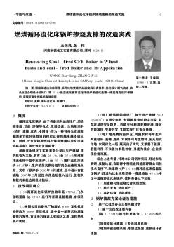 燃煤循环流化床锅炉掺烧麦糠的改造实践