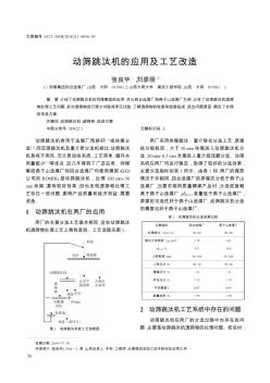 动筛跳汰机的应用及工艺改造