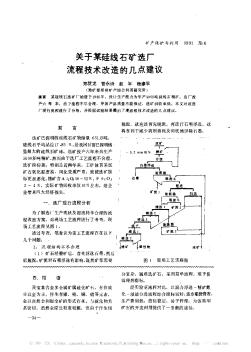 關(guān)于某硅線石礦選廠流程技術(shù)改造的幾點(diǎn)建議