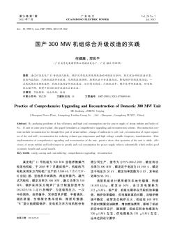 国产300 MW机组综合升级改造的实践