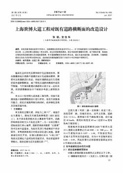 上海世博大道工程对既有道路横断面的改造设计