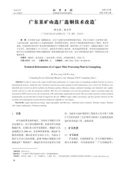 广东某矿山选厂选铜技术改造