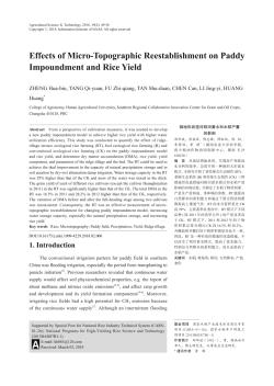 微地形改造对稻田蓄水和水稻产量的影响（英文）