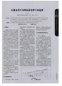 后楼水库拦河坝防渗处理方案选择