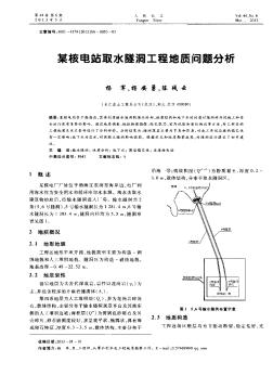 某核电站取水隧洞工程地质问题分析