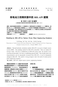 核電站工程模擬器中的RELAP5建模