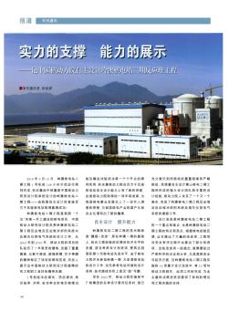 实力的支撑  能力的展示——记中国核动力院自主设计岭澳核电站二期反应堆工程