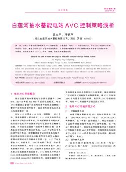 白莲河抽水蓄能电站AVC控制策略浅析