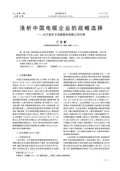 浅析中国电缆企业的战略选择——以宁波东方电缆股份有限公司为例