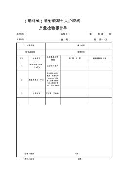 (钢纤维)喷射混凝土支护现场质量检验报告单