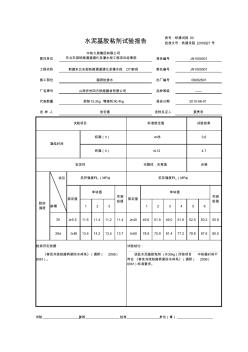 1.6水泥基胶粘剂报告11.04.12