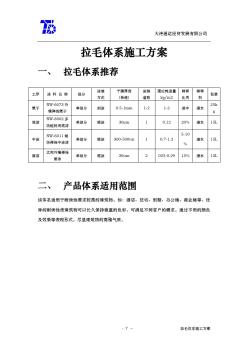 10--拉毛体系施工方案