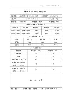 10KV高压环网柜(交接)试验 (3)