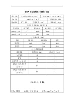 10KV高压环网柜(交接)试验