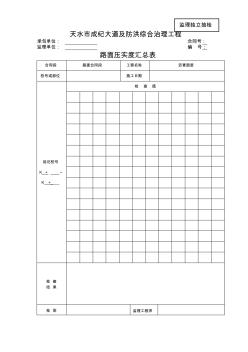 10路面压实度汇总表