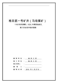 11601回风顺槽(K28)本煤层抽放孔施工安全技术措施