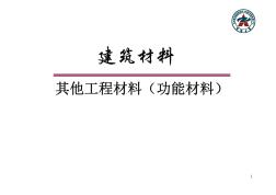 11建筑材料-其他工程材料(功能性材料)