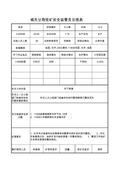 12.2驻矿安全监管员日报表