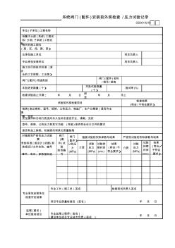 19____系统阀门(配件)安装前外观检查—压力试验记录GD3010219